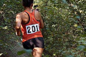 Le Trail des 3 Terres Moulière