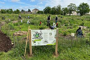 Photo "Fête de la Forêt des Dunes"