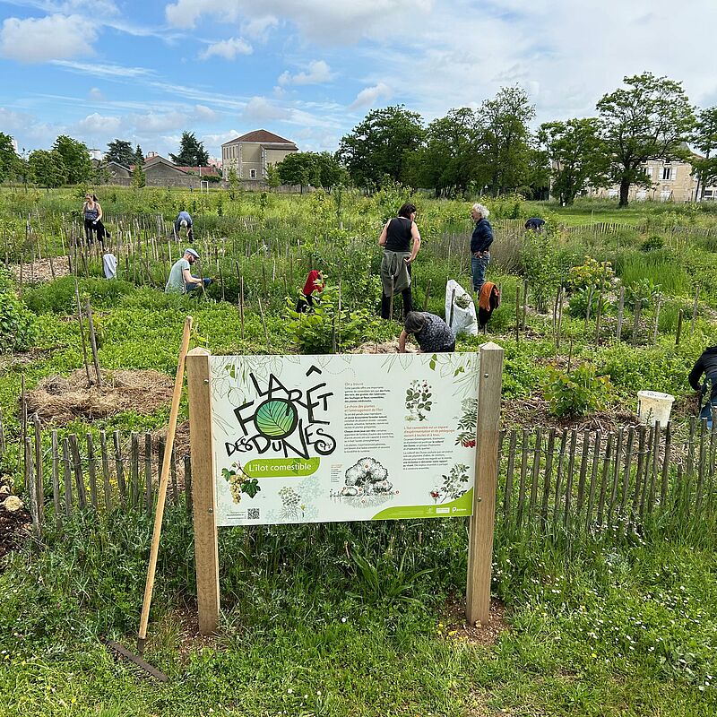 Fête de la Forêt des Dunes