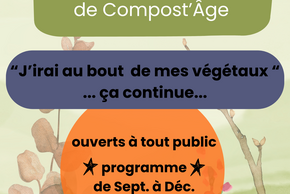 atelier "Sauvetage de plante"
