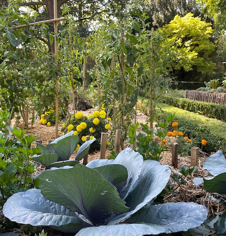 Nourrir et protéger son jardin au naturel 
