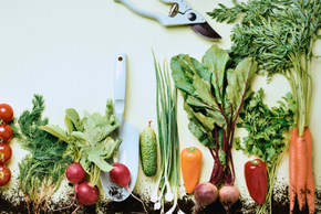 Des légumes sortant de la terre