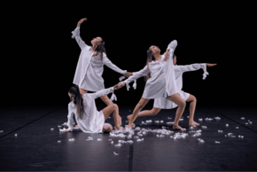 Week-end Cartes Blanches stage et spectacle des JAD