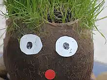 Petite graine deviendra verte