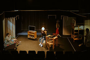 photo du spectacle la maladie de la famille M