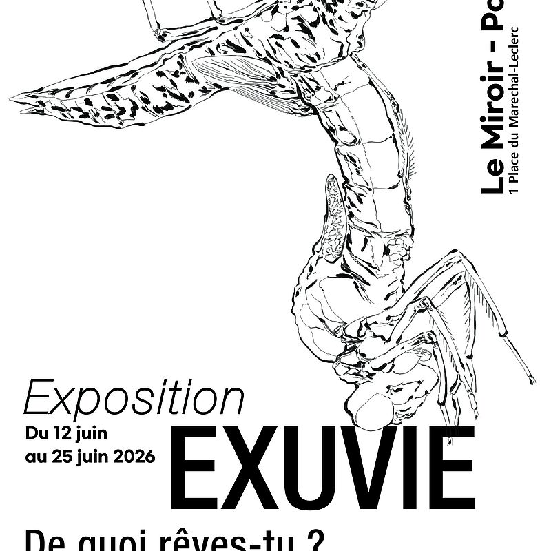 Exposition d'art contemporain, EXUVIE : de quoi rêves-tu ?
