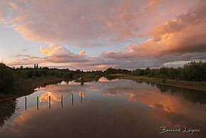 Photo "Sortie crépusculaire à Saint-Cyr"