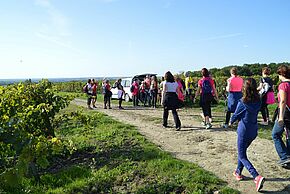 Course randonnée à Jaunay Marigny