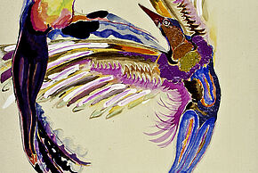 photo des êves de scène de Sarah Lipska