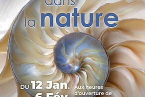 Exposition "Les formes dans la nature"