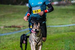 Championnat de France de Cani-trail 2026