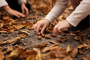 photo Atelier Nature en famille