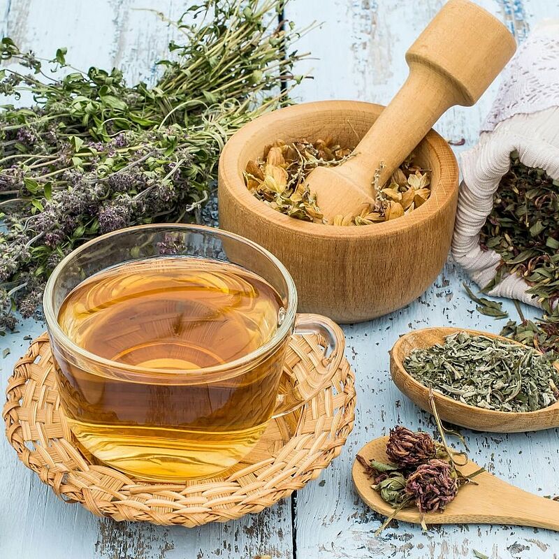 Atelier tisanes et plantes médicinales