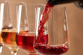 Le guide spiritueux : art et vin