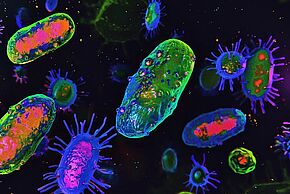 Image Les microbes ont-ils bon goût ?