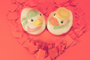 Deux canards au milieu d'un coeur rouge