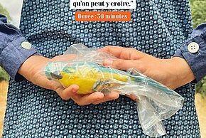 Soucoupe et Krashspouille