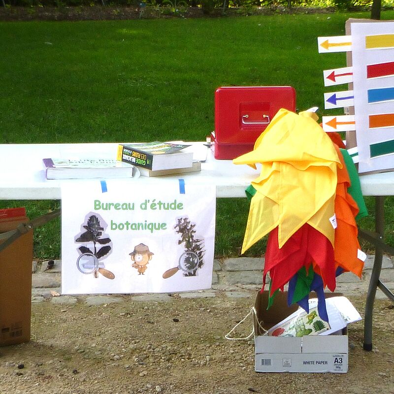 Les trésors du jardin