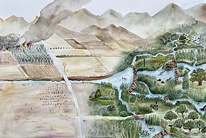 Photo "Médecine Castor de Suzanne Husky"