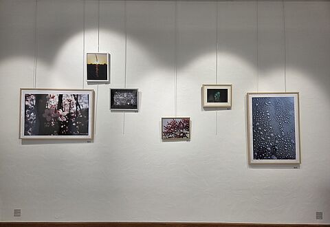 Photo La nature c'est nous : exposition photographique