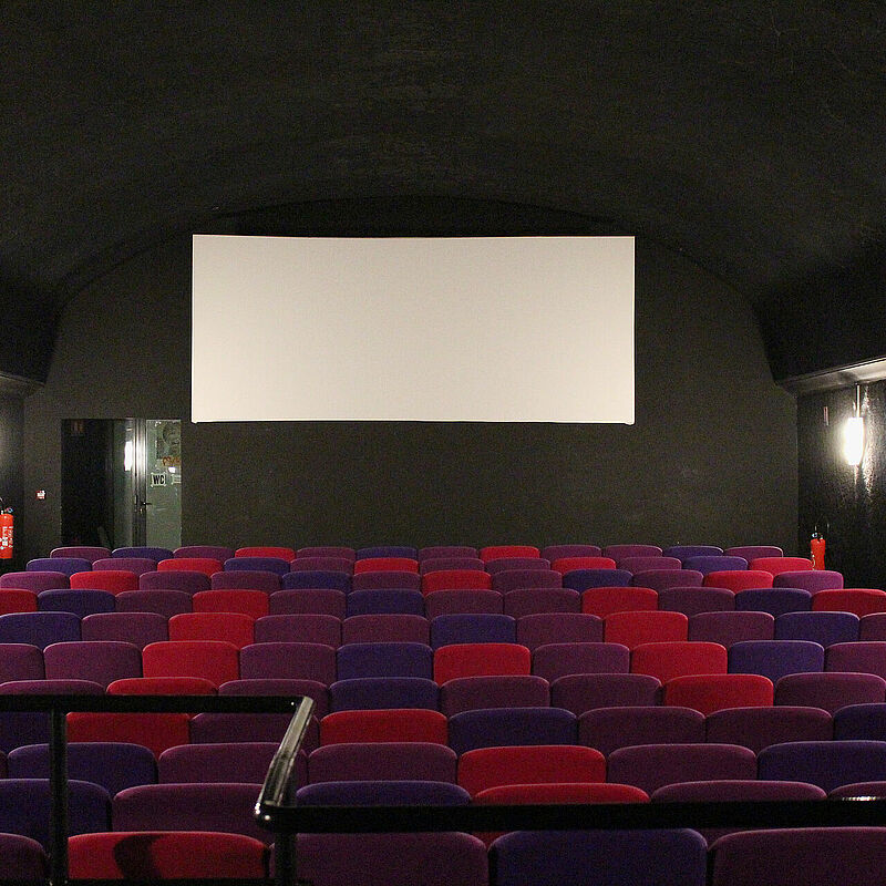 La Quinzaine en salle : Cannes à Poitiers !