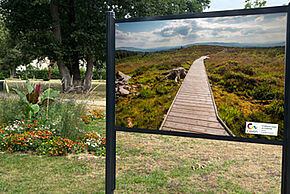 Photo "Exposition & concert"