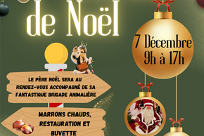 Affiche Marché de Noël
