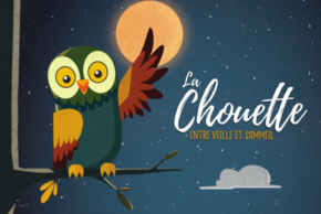 La Chouette entre veille et sommeil
