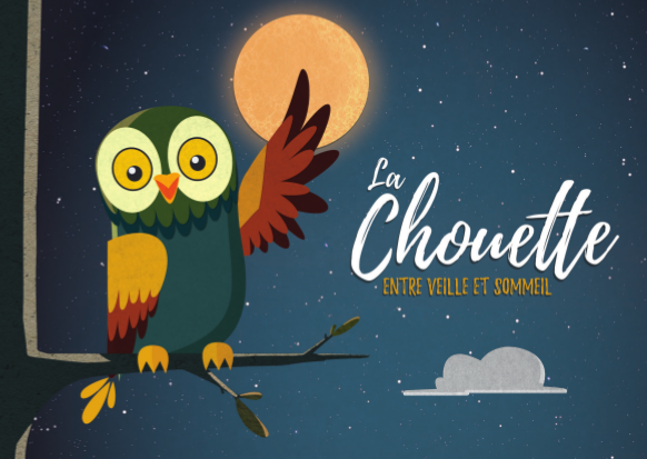 La Chouette entre veille et sommeil