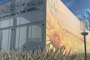 photo de l'entreprise Biosynthis