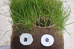 Petite graine deviendra verte