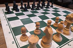 photo Rencontres d’échecs avec les fous du roi