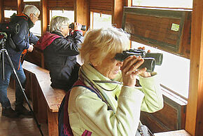 Photo "Permanence à la réserve naturelle régionale de Saint-Cyr"
