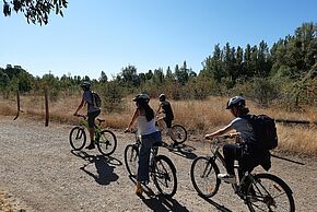 Photo "Parcours sport & nature Terre de Jeux"