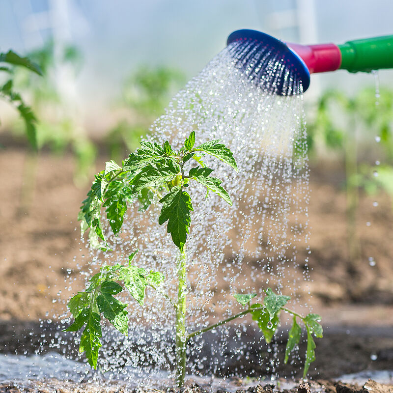 L'eau au Jardin