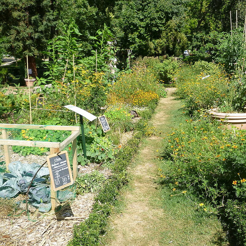 Formation jardinage et permaculture