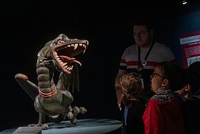 photo dragon