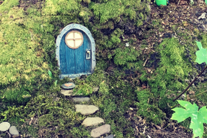 Une petite porte est créee au creu d'un arbre