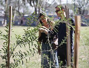 Visite de l'arborteum francès à Santa Fe - Agrandir l'image (fenêtre modale)