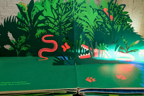 Livre pop-up