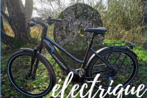 photo Vélos électriques