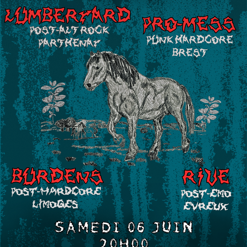 4 Concerts Punk, Emo et Alt-Rock