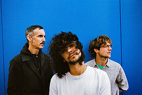 Mule Jenny + Carnage Piknik