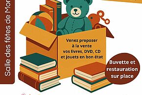 Vide bouquins et jouets