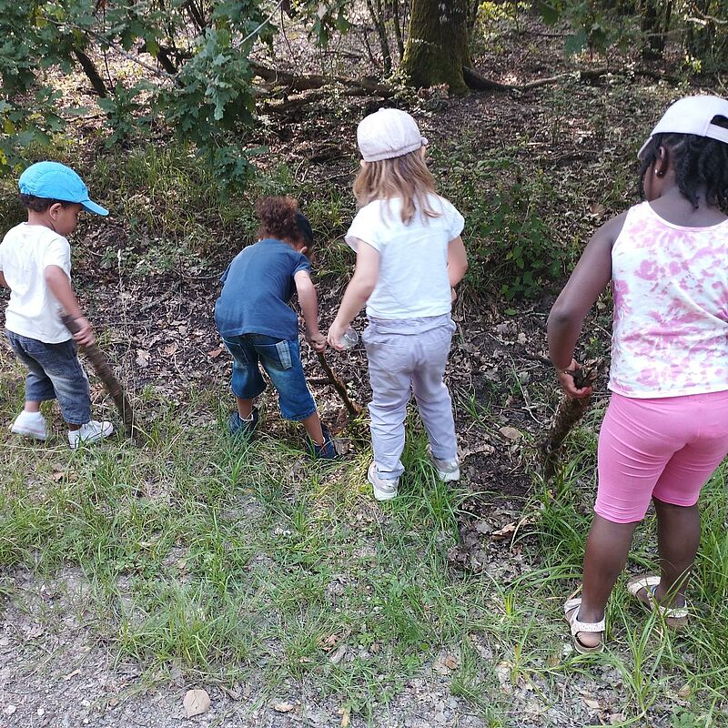Atelier parents/enfants : À la découverte des petites bêtes