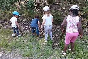 photo d'Atelier parents/enfants : À la découverte des petites bêtes