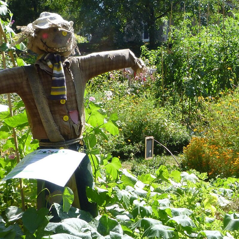 La permaculture, c'est nul !