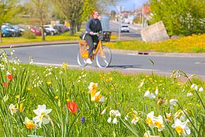 Ça roule ! Festivités autour des mobilités
