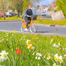 Ça roule ! Festivités autour des mobilités