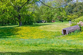 Photo Midi au jardin : Qu'arrive-t-il à nos pelouses ?